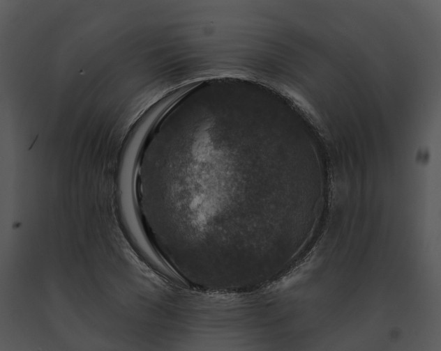 X0000091690977200708301537
