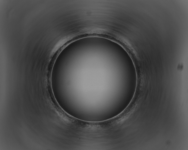 X0000091690978200708301537