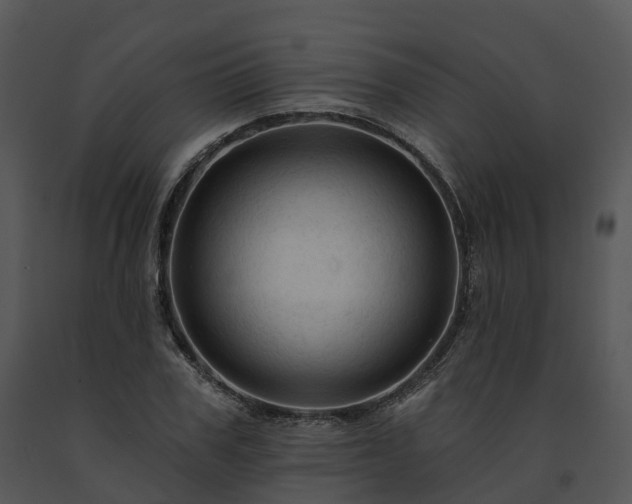X0000091690979200708301537