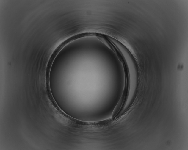 X0000091690980200708301537