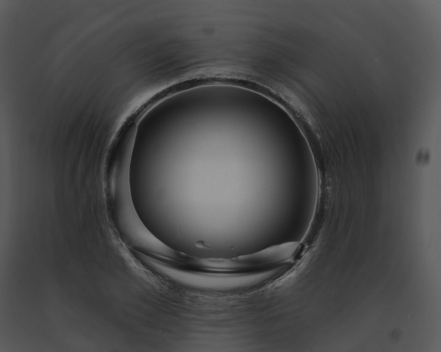 X0000091690981200708301537