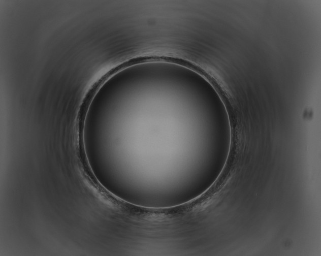 X0000091690982200708301537