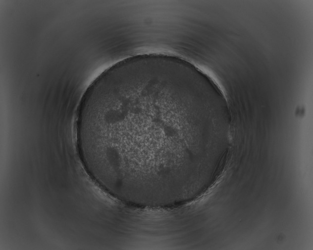 X0000091690983200708301537