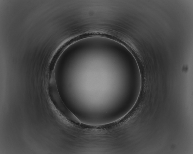 X0000091690984200708301537