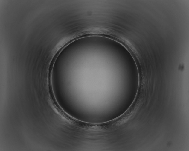 X0000091690986200708301537