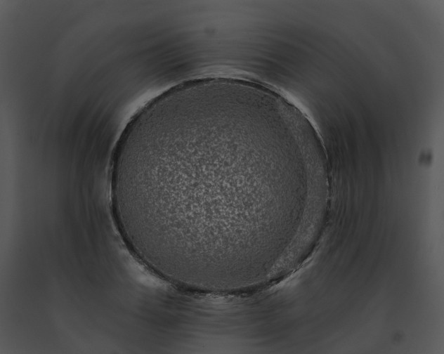 X0000091690987200708301537