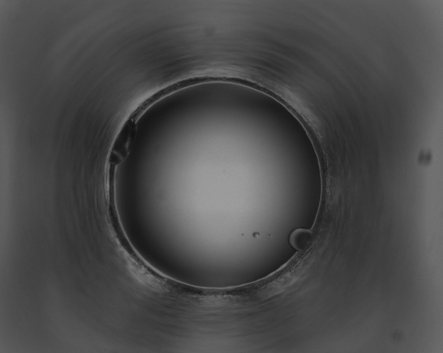 X0000091690988200708301537