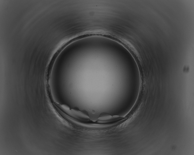 X0000091690989200708301537