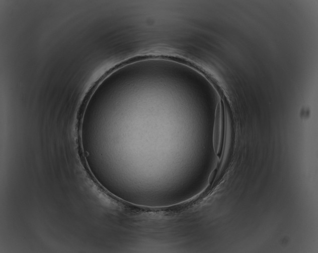 X0000091690990200708301537