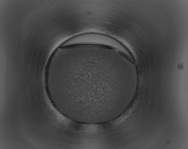 X0000091690991200708301537