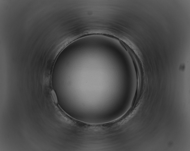 X0000091690993200708301536