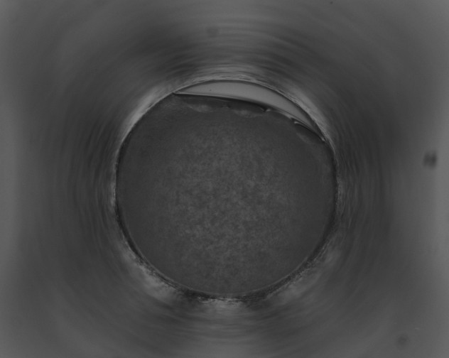 X0000091690994200708301536