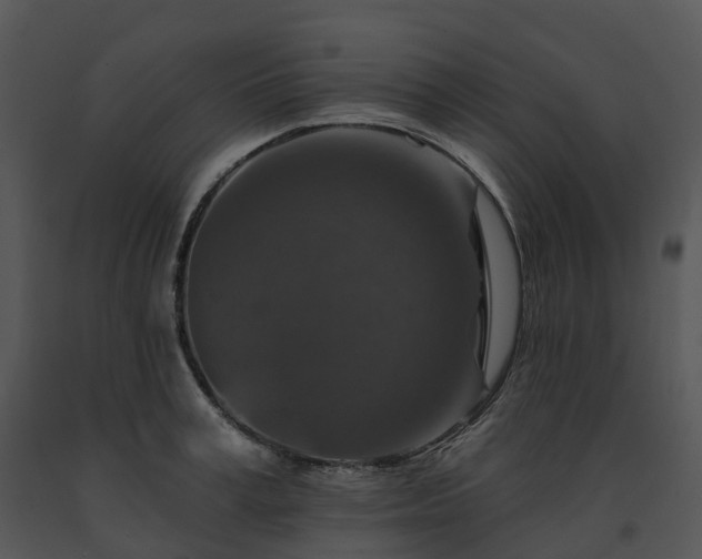 X0000091690995200708301536