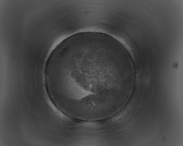 X0000091690998200708301536