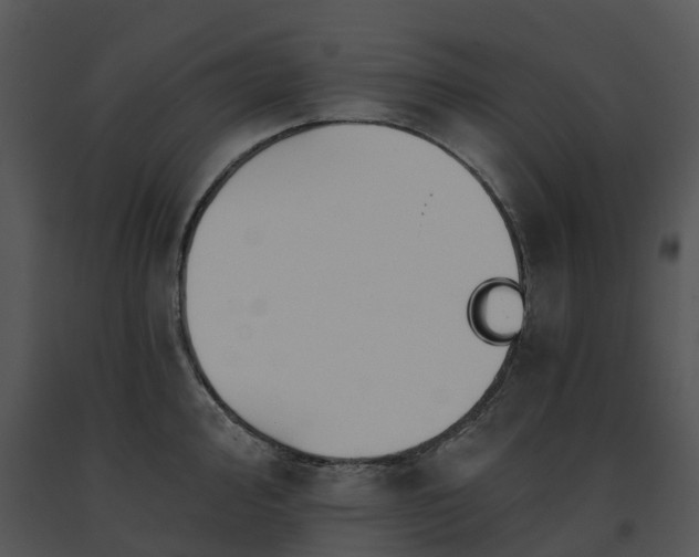 X0000091691000200708301536