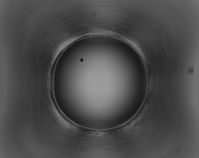 X0000091691003200708301536