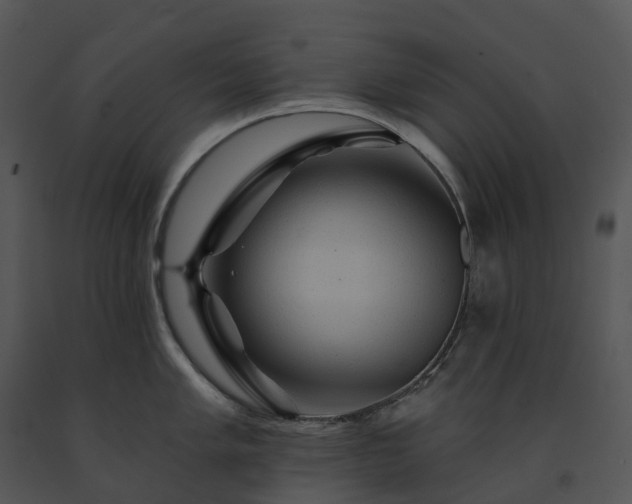 X0000091691005200708301536