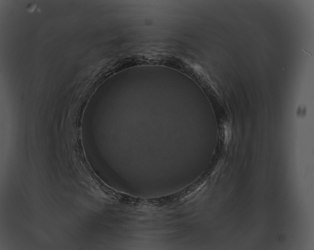 X0000091691009200708301536
