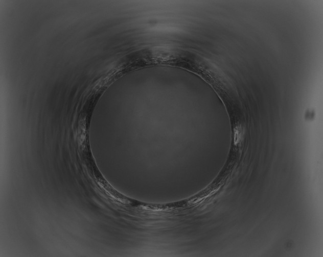 X0000091691011200708301536