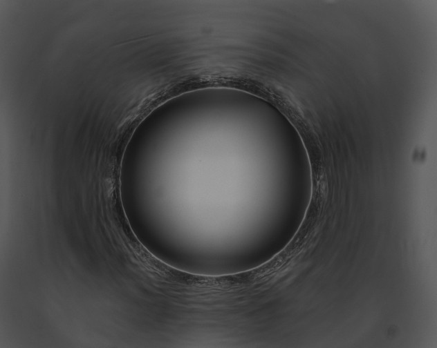 X0000091691012200708301536