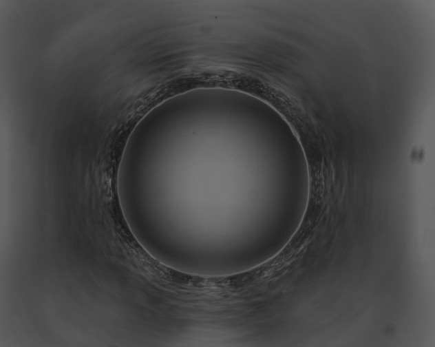 X0000091691013200708301536