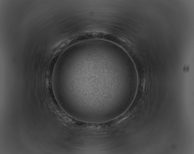 X0000091691014200708301536