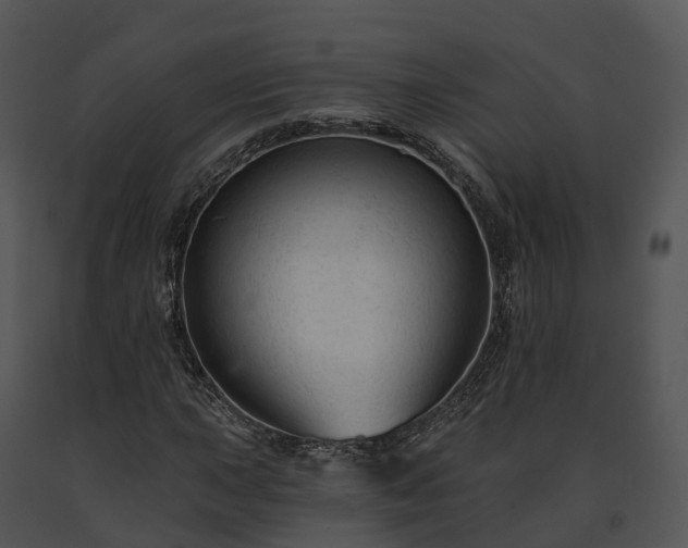 X0000091691015200708301536