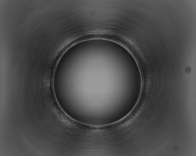 X0000091691017200708301536