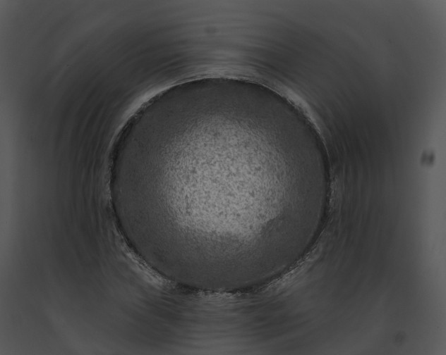 X0000091691019200708301536
