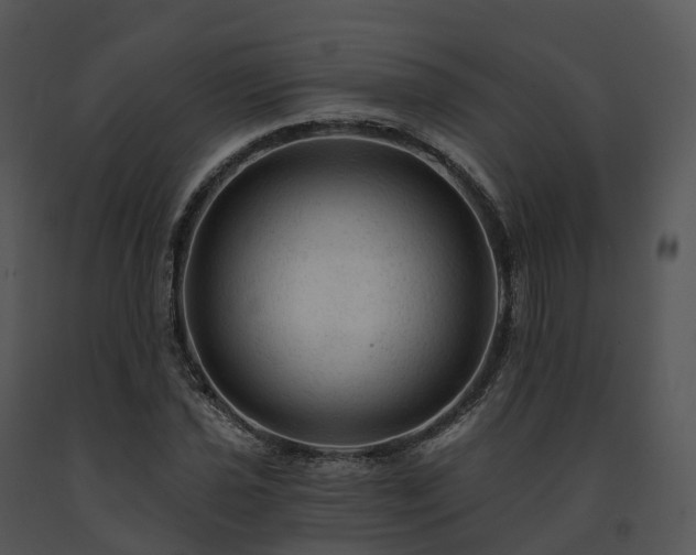 X0000091691021200708301536