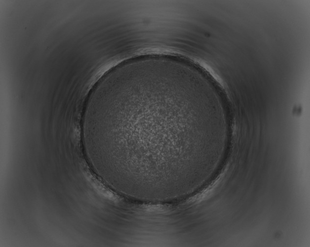 X0000091691025200708301536