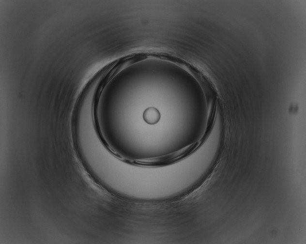 X0000091691030200708301536