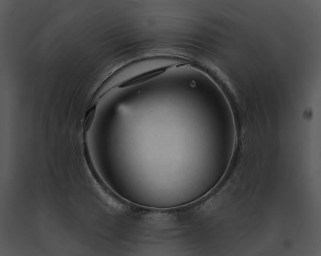 X0000091691033200708301536