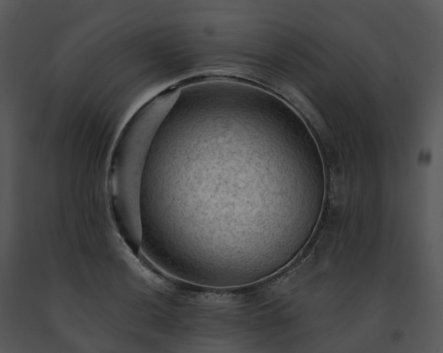 X0000091691036200708301536