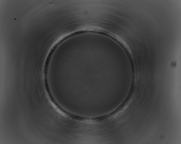 X0000091691037200708301536