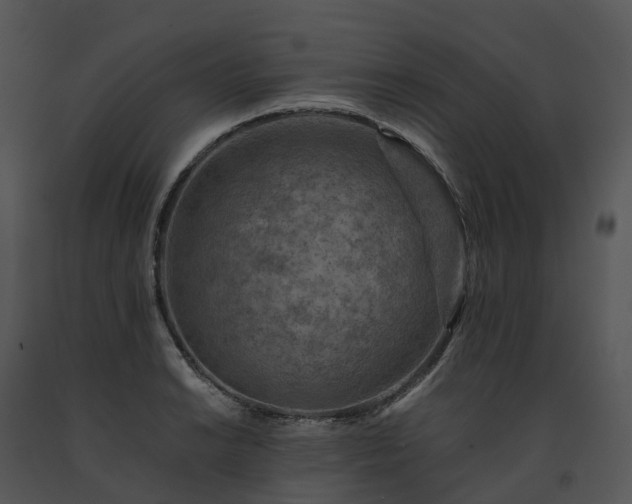 X0000091691038200708301536