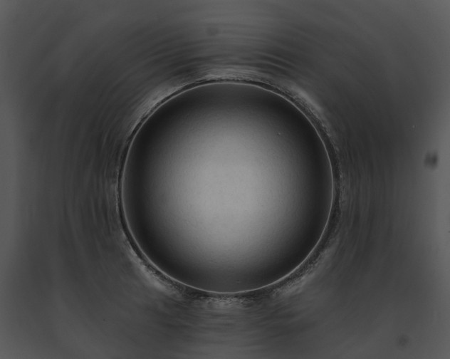 X0000091691041200708301536