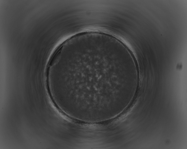 X0000091691045200708301536