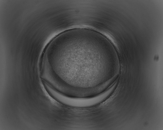 X0000091691046200708301536