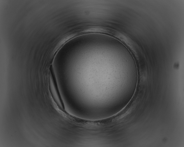 X0000091691049200708301536