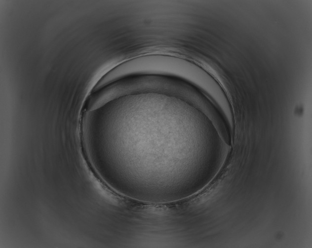 X0000091691050200708301536
