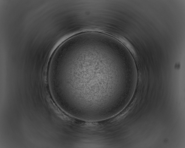 X0000091691052200708301536