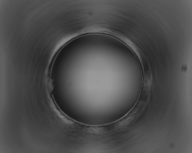 X0000091691053200708301536