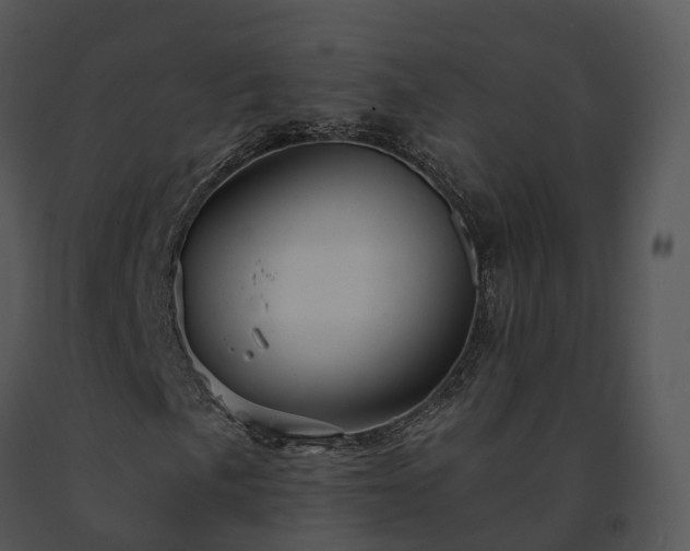 X0000091691057200708301536