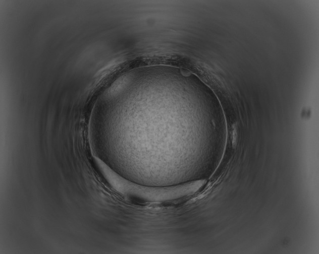 X0000091691059200708301536