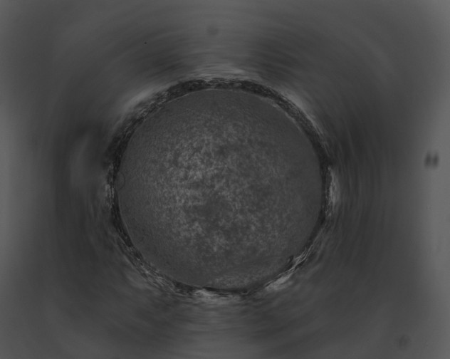 X0000091691063200708301536