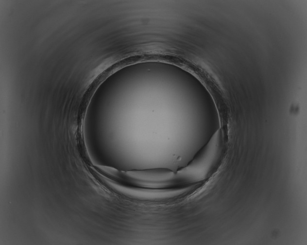 X0000091691065200708301536