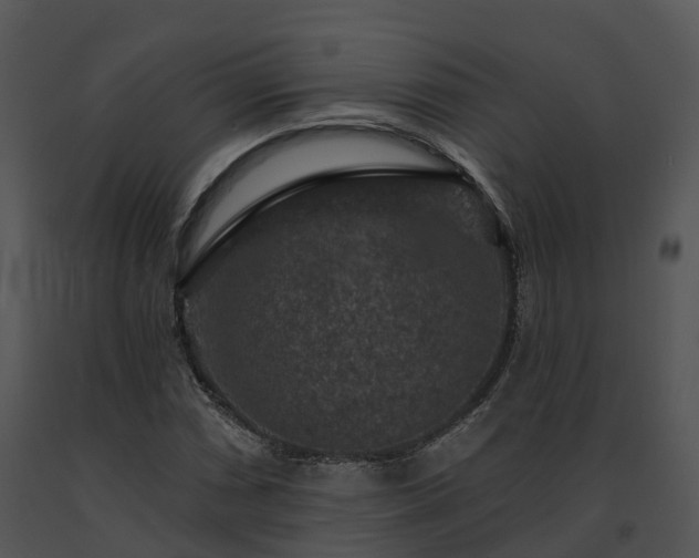 X0000091691066200708301536