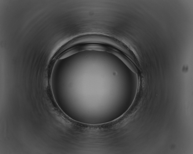 X0000091691069200708301536