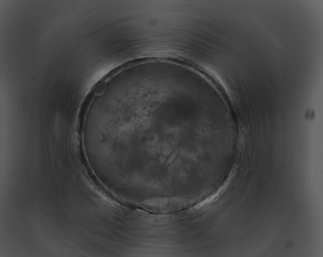 X0000091691071200708301536